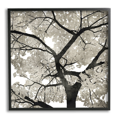 Abstract Tree Branch Wall Art in Black & Grey Wilderness Design